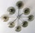 Italian flush mount with eight smoky Murano glass shades carefully hand blown with bubbles inside the glass using...