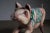 Carved Wood Pig Carousel Figure, 1950s For Sale - Image 4 of 7