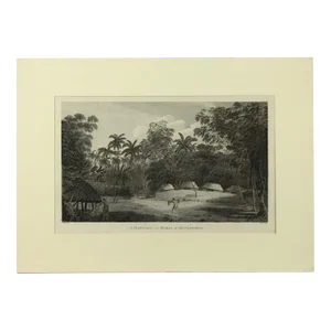 1784 James Cook & J. Webber Original Engraving