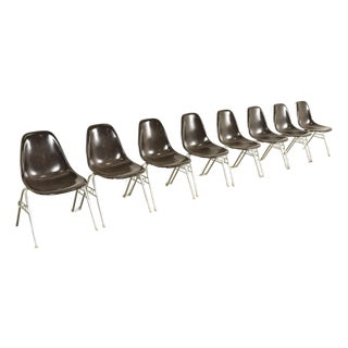 Charles & Ray Eames for Herman Miller DSS Seal Brown Stacking Shell Chairs | Set of Eight For Sale