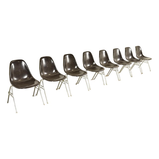 Charles & Ray Eames for Herman Miller DSS Seal Brown Stacking Shell Chairs | Set of Eight For Sale