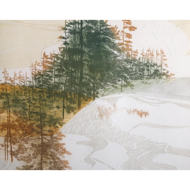 Modern Fresh Snow, Unknown Artist Etching With Aquatint, Signed, Numbered, and Titled in Pencil For Sale - Image 3 of 6