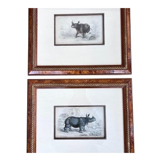 Pair of antique engravings of Rhinoceroses signed Stewart and Lixars // set of two // custom framing // burlwood frames // collectible For Sale
