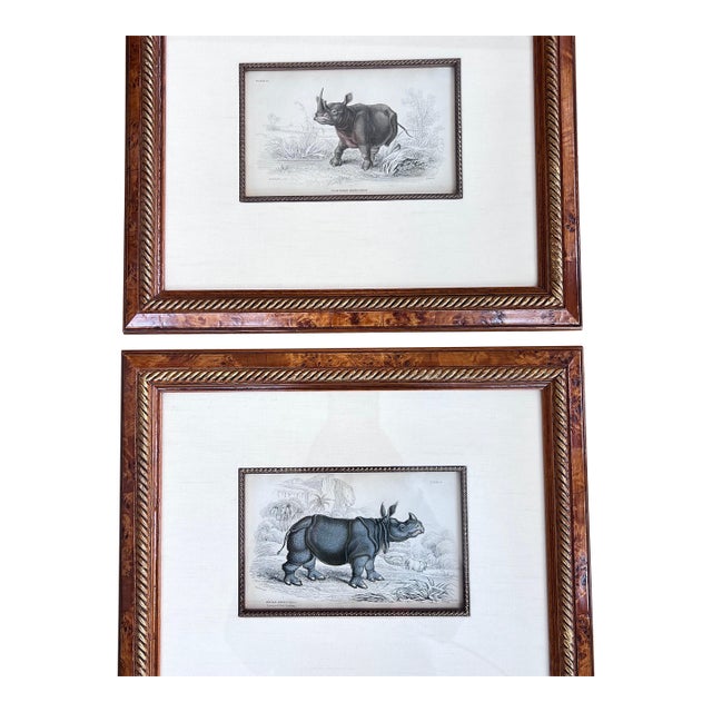 Pair of antique engravings of Rhinoceroses signed Stewart and Lixars // set of two // custom framing // burlwood frames // collectible For Sale