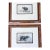 Pair of antique engravings of Rhinoceroses signed Stewart and Lixars // set of two // custom framing // burlwood frames // collectible For Sale