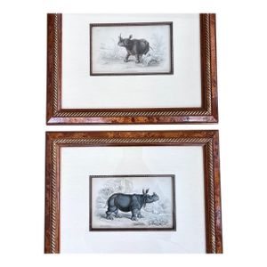 Pair of antique engravings of Rhinoceroses signed Stewart and Lixars // set of two // custom framing // burlwood frames // collectible