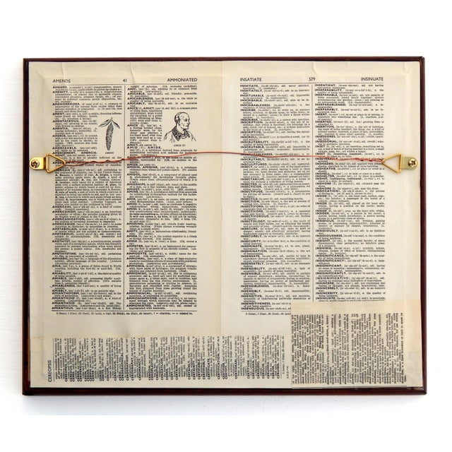 Matt Rix, Naïve Style Racing Pigeon, Oil Painting, Framed For Sale - Image 11 of 12