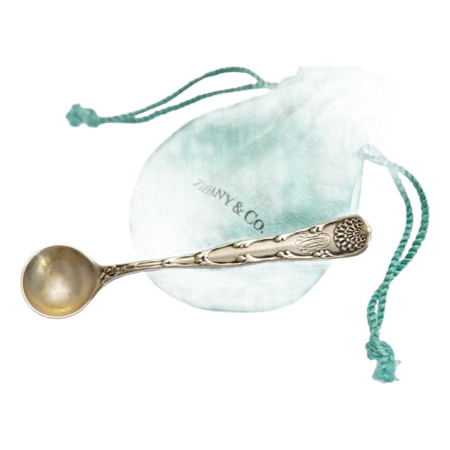 Antique Tiffany & Co. Sterling Salt Cellar Spoon Ladle For Sale