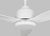 Visual Comfort Visual Comfort Fan Avila 54" LED Ceiling Fan in Matte White For Sale - Image 4 of 9