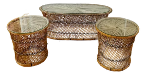 Vintage Franco Albini Style Rattan & Wicker Coffee Table & End Tables, Set of 3