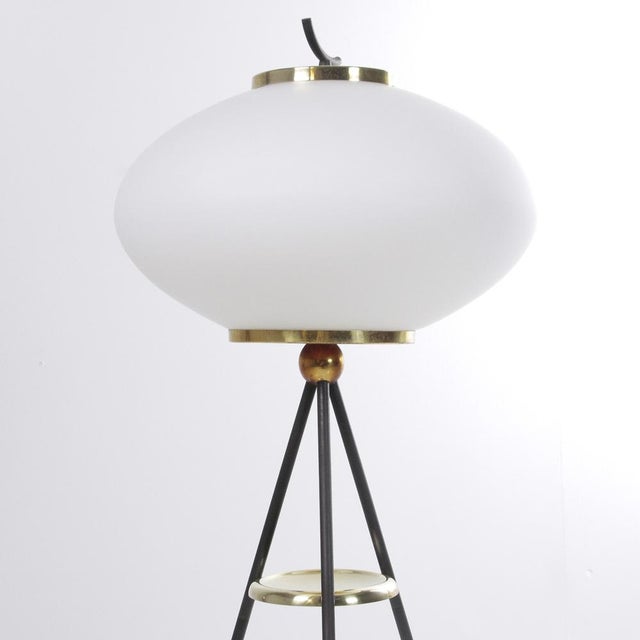 Stilnovo-style opaline glass and brass floor lamp, 1950s. White opaline glass shade, black painted metal frame, and brass...