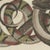 Bertuch, Four Intertwined Snakes, 1805, Print For Sale - Image 4 of 12