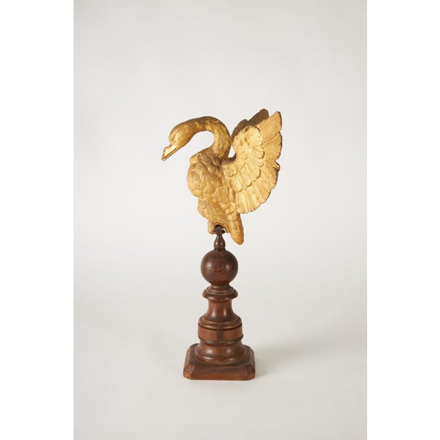 Italian Artist, Eagle, 1800s, Carved and Gilded Walnut For Sale - Image 3 of 10