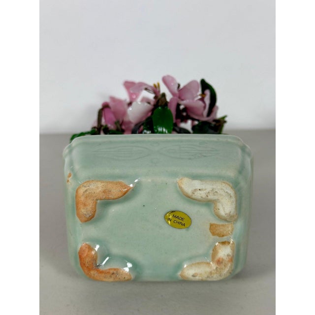 Vintage Mid-Century Flowering "Jade Tree" in Footed Celadon Pot - 10" For Sale - Image 14 of 16