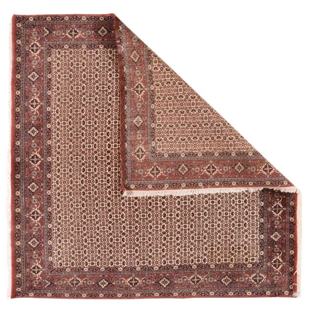 This modern Kurdish town rug of uncommon format, shows an ecru field very evenly patterned with a formal, small-scale...