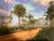 Old Florida; Highlands Hammock Park, Sebring Florida Photo Print, Pines and Palmetto. Four by Three Feet in Plastic For Sale - Image 16 of 18