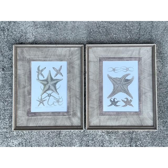 This sophisticated pair of starfish prints from the renowned luxury home decor house, John Richard, offers a refined take...
