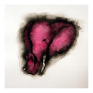 Elephant in the Room II, Hot Pink Elephant, Smoke on Paper, 2013