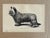 Up for sale is this charming antique dog print from a veterinary guide published in the 1890s and illustrating breed...