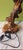 Brown Vintage Vineyard Table Lamp, 1980 For Sale - Image 8 of 13