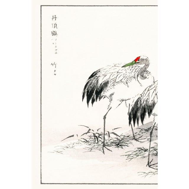 Japanese Japanese Cranes Among Bamboo, Vintage Japanese Art Print Reproduction, 60" X 40" For Sale - Image 3 of 11