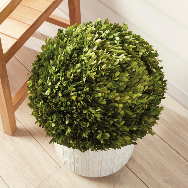 Kenneth Ludwig Chicago Boxwood Ball 16" For Sale - Image 4 of 6