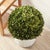 Kenneth Ludwig Chicago Boxwood Ball 16" For Sale - Image 4 of 6