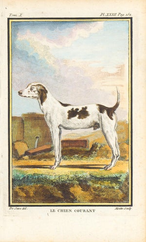 1758 Buffon Dog Engraving "Le Chien Courant" (Hound Dog)