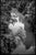 Not Yet Made - Made To Order Paul Cooklin, Saint-Loup-Du-Gast IV, Edition of 50 For Sale - Image 5 of 5