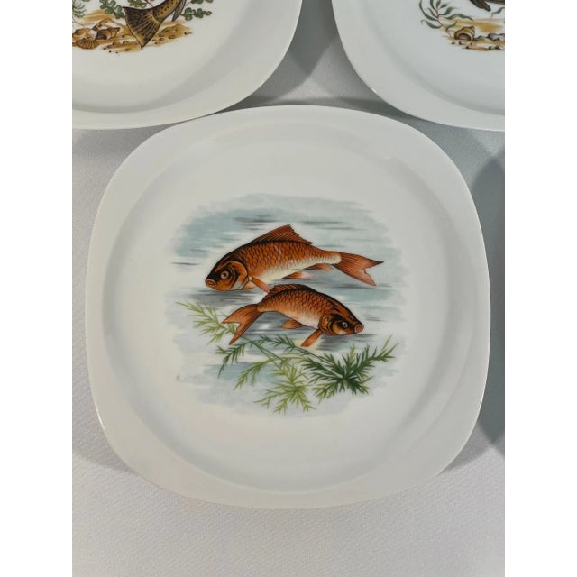Mid-Century Modern 1940s-50s French Limoges Fish Plates - Set of Five For Sale - Image 3 of 17
