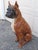 Majolica Vintage Italian Life Size Terracotta Boxer Dog Figurine For Sale - Image 4 of 18