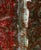 Antique Victorian Striped Wool Paisley Shawl Textile Fabric Throw For Sale - Image 13 of 17