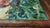 Oil Painting Parrot Impasto For Sale - Image 11 of 17