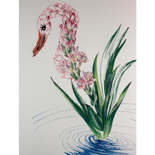 ARTIST: Salvador Dali TITLE: Florals Water-Hybiscus Swan MEDIUM: Etching SIGNED: Hand Signed by Salvador Dali PUBLISHER:...