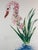 ARTIST: Salvador Dali TITLE: Florals Water-Hybiscus Swan MEDIUM: Etching SIGNED: Hand Signed by Salvador Dali PUBLISHER:...