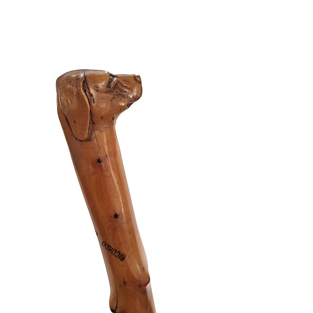 Antique Cane / Walking Stick, Caprera, Italy For Sale In West Palm - Image 6 of 10