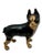 Hard 2 Find Vintage 1930s Hubley Manufacturing Co. Brown Painted Boston Terrier Cast Iron Dog Doorstop For Sale - Image 14 of 18