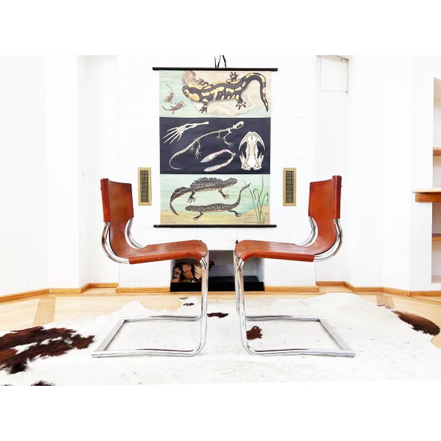 Set 8 Carlo Bartoli T 70 920 Cantilever Chairs Brown Leather - 8 PCS For Sale - Image 10 of 18