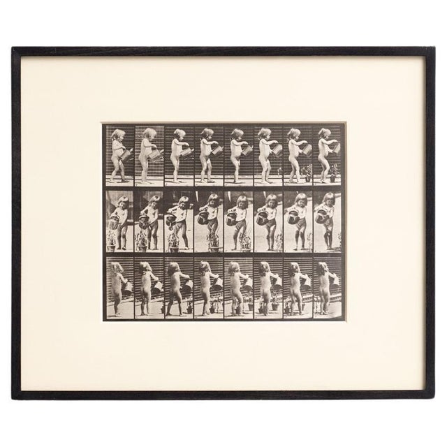 Eadweard Muybridge, Black and White Image, 1982, Photograph, Framed For Sale - Image 9 of 9