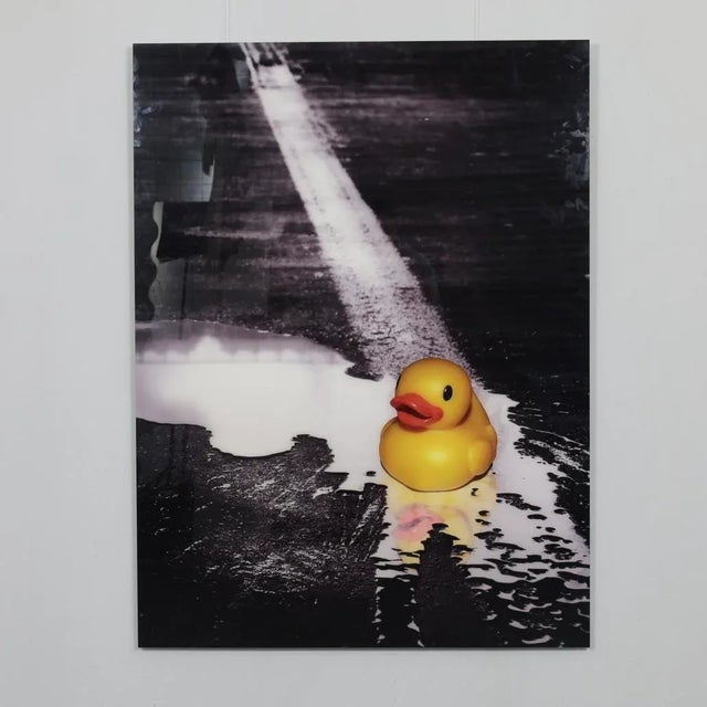 Metal Ivana Vostrakova, Spring Swimming, 2013, Archival Pigment Print For Sale - Image 7 of 7