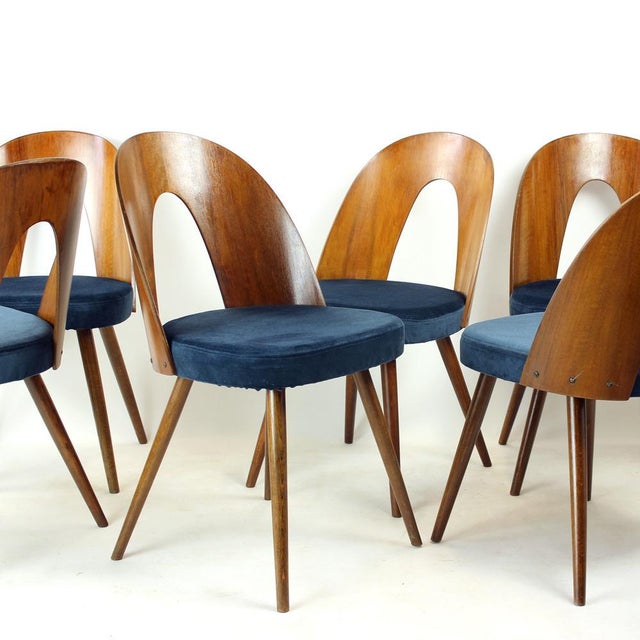 Tatra Chairs in Walnut and Velvet by Šuman, 1960s, Set of 6 For Sale - Image 11 of 18