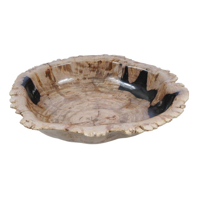 Large Petrified Wooden Bowl by Xyleia Petrified Wood For Sale