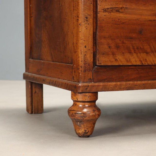 19th Century Carlo X Walnut Chest of Drawers, Italy For Sale - Image 5 of 10