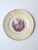 Off-white Early 20th Century Plates Neoclassical Design - Set of 4 For Sale - Image 8 of 13
