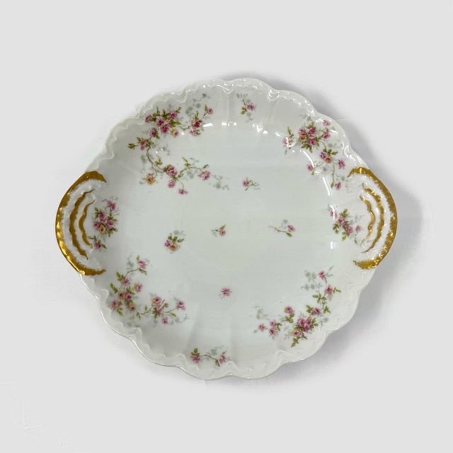 Early 20th Century Haviland Limoges France Floral Porcelain Platter For Sale - Image 4 of 5
