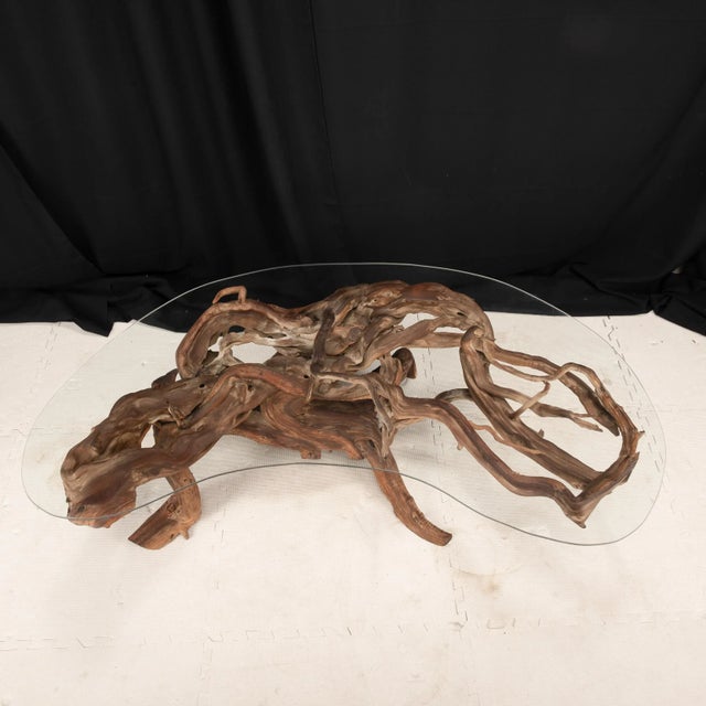 Mid-Century Organic Modern 1960s Driftwood Coffee Table Original Biomorphic Kidney Glass Top For Sale - Image 14 of 16