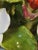 White Fine Bone China Hand Modelled Hand Painted Aynsley England Radnor Staffordshire Bouquets For Sale - Image 8 of 12