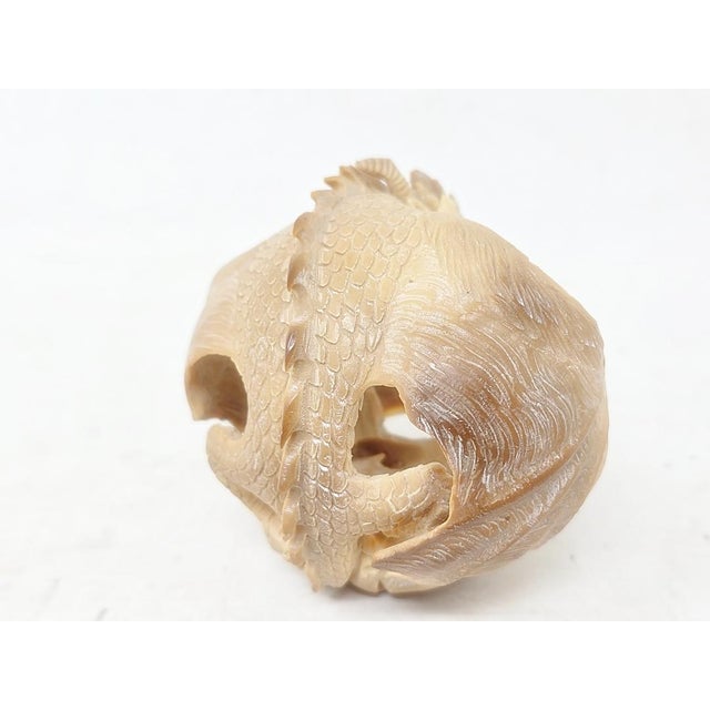 2010's Hand Carved Tagua Nut Dragon - 2-1/2" X 3" - Figurine - Vegetable Ivory For Sale - Image 10 of 14
