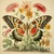 Butterfly and Flowers No. 4 – Natural History Fine Art Print For Sale - Image 4 of 4