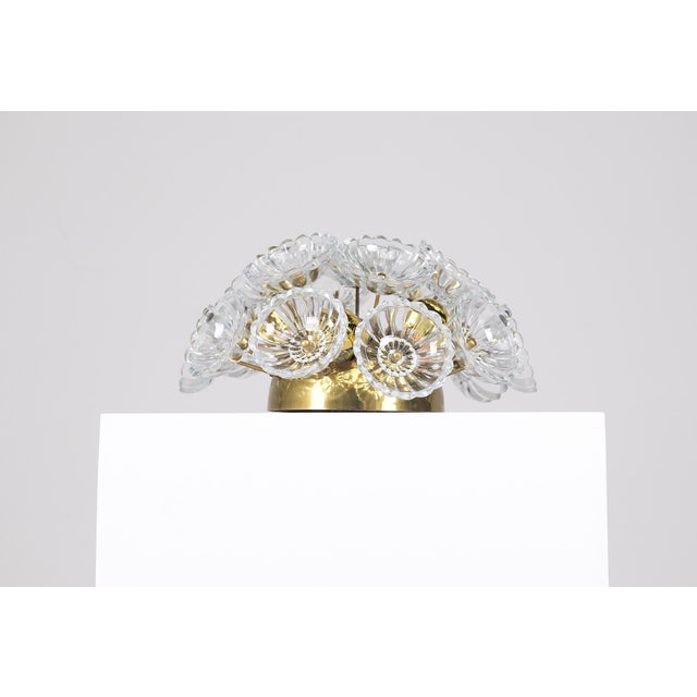 Sputnik Dandelion Ceiling Light in Glass and Brass, 1960s For Sale - Image 6 of 8